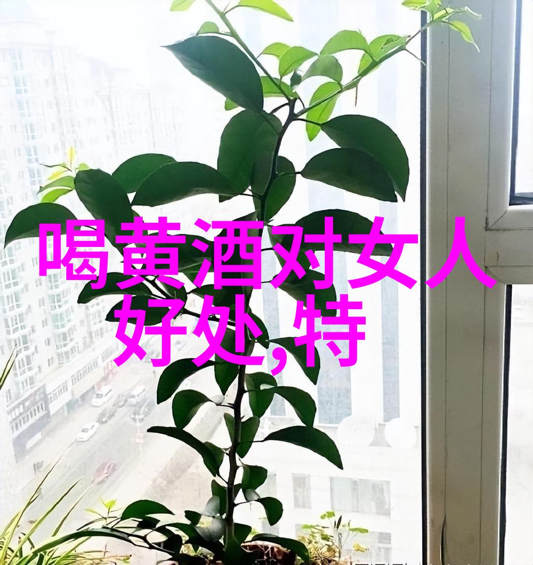 闯关东酒的价格