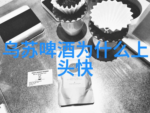 泰山七天原浆啤酒怎么样多少钱